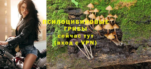 Альфа ПВП Абдулино