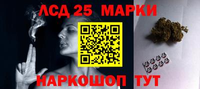 гидра Будённовск
