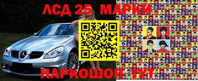 гидра Будённовск
