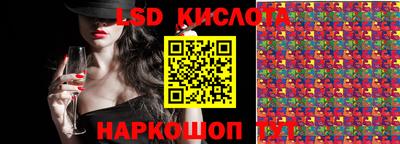 гидра Будённовск