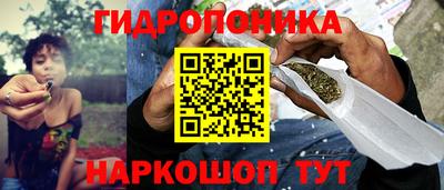 гидра Будённовск