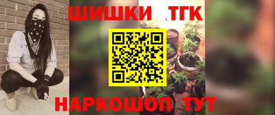 гидра Будённовск