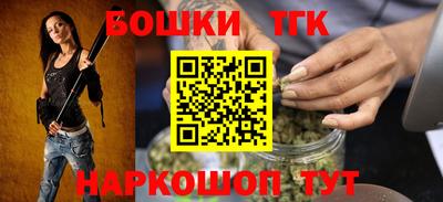 гидропоника Камышлов