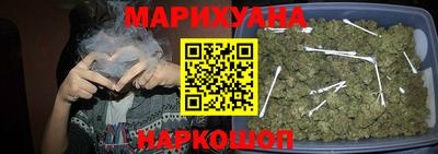 гидра Будённовск