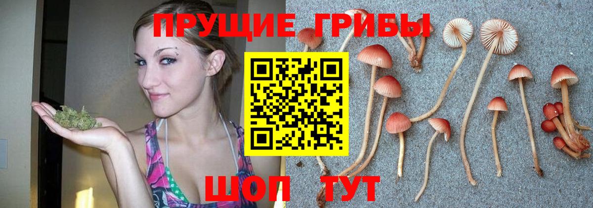 Зеленодольск  Галлюциногенные грибы Psilocybine cubensis  даркнет сайт  Вход с VPN 